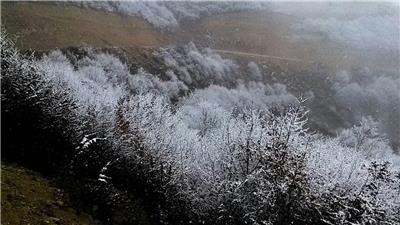 Gallery_1384